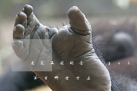 建筑工程的全過(guò)程預(yù)決算有哪些方法