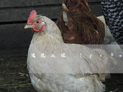 建筑工程監(jiān)理規(guī)范