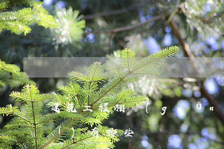 建筑工程相關(guān)法律法規(guī)有哪些