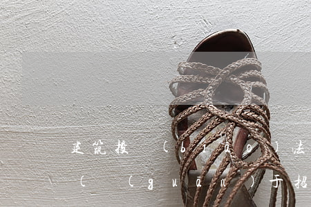 建筑投標(biāo)法律法規(guī)(關(guān)于招投標(biāo)法的法律法規(guī))