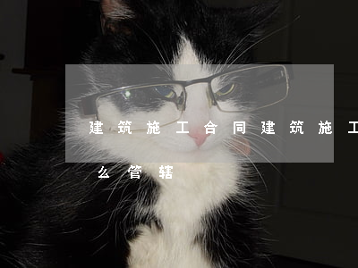 建筑施工合同(建筑施工合同纠纷管辖属于什么管辖)