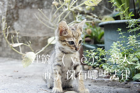 建筑業(yè)掛靠人對外提供保證擔(dān)保有哪些法律風(fēng)險(xiǎn)