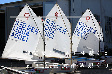 建筑業(yè)生產(chǎn)經(jīng)營法律法規(guī)(建筑企業(yè)安全生產(chǎn)方面的法律法規(guī)標(biāo)準(zhǔn)規(guī)范和規(guī)程)