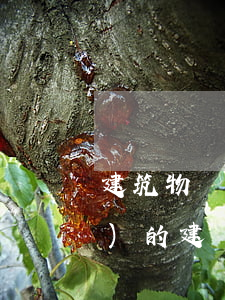 建筑物設定抵押，建筑物占用范圍內(nèi)的建設用地使用權(quán)如何處理
