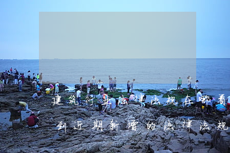 建筑行业法律法规在哪看更新(哪里可以查到近期新增的法律法规)