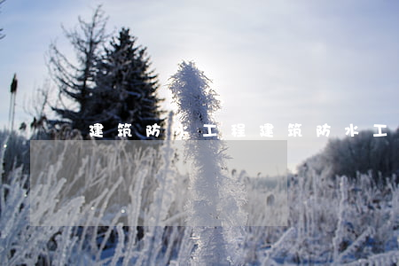建筑防水工程(建筑防水工程資質(zhì))