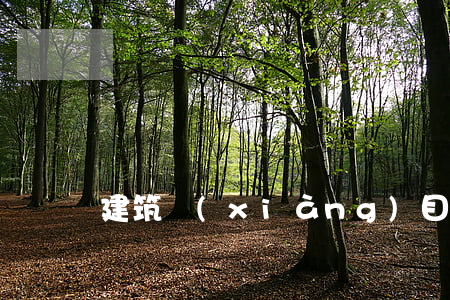 建筑項(xiàng)目掛靠協(xié)議