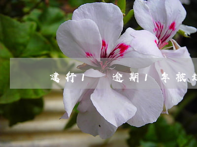 建行1萬逾期1年被起訴(建行逾期一次)