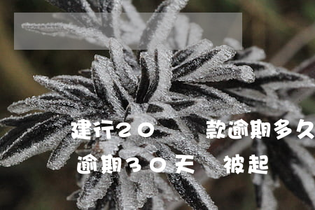 建行20萬貸款逾期多久會被起訴(銀行貸款逾期30天會被起訴嗎)