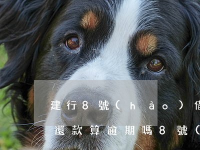 建行8號(hào)借的款8號(hào)還款算逾期嗎(8號(hào)還款11號(hào)還算逾期嗎)