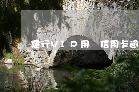 建行VIP用戶信用卡逾期(建行卡逾期一次)