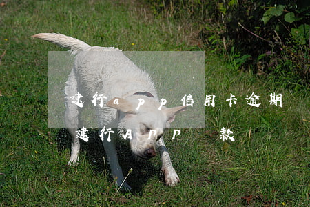 建行app信用卡逾期還款結(jié)清(建行APP還款)