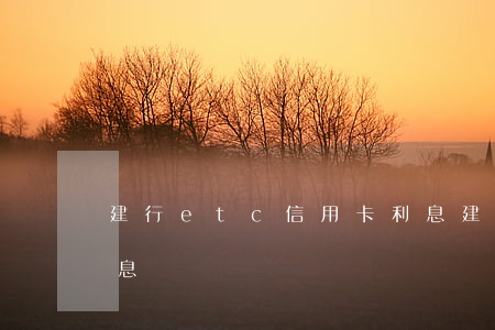 建行etc信用卡利息(建行ETC信用卡利息)