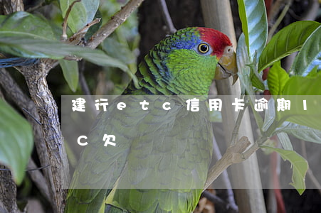 建行etc信用卡逾期15天 建設銀行ETC欠費