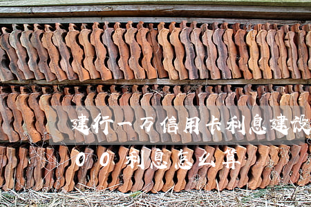 建行一万信用卡利息(建设银行信用卡10000利息怎么算)