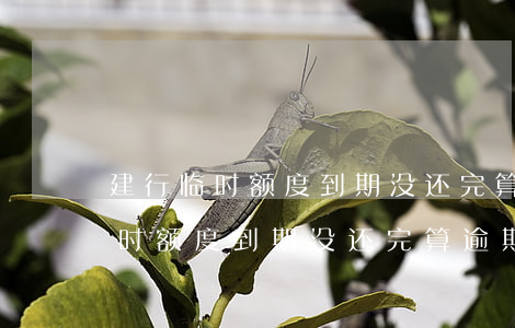 建行临时额度到期没还完算逾期吗-建行临时额度到期没还完算逾期吗怎么办