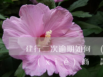 建行二次逾期如何協(xié)商還款(建行協(xié)商還款終于成功了)