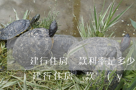 建行住房貸款利率是多少（申請(qǐng)建行住房貸款應(yīng)具備的條件）