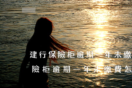 建行保險柜逾期一年未繳費怎么辦-建行保險柜逾期一年未繳費怎么辦理