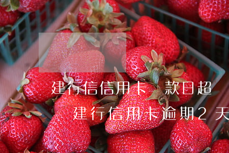 建行信信用卡還款日超過(guò)一天影響（建行信用卡逾期2天有影響嗎）