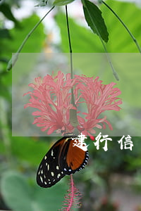 建行信用卡10幾年前逾期