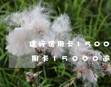 建行信用卡15000逾期兩個月-建行信用卡15000逾期兩個月利息多少