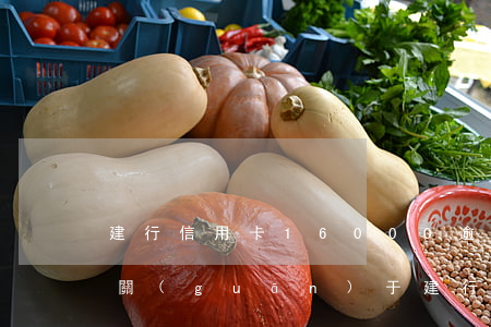 建行信用卡16000逾期一天利息是多少，關(guān)于建行信用卡16000元逾期一天的利息計(jì)算