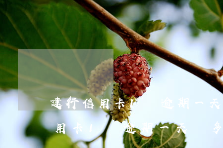 建行信用卡1萬逾期一天罰多少元-建行信用卡1萬逾期一天罰多少元錢