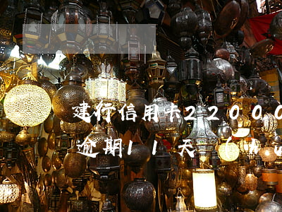 建行信用卡22000逾期一年（建行信用卡逾期11天會(huì)怎么樣）