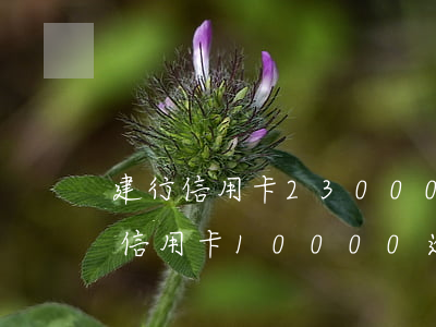 建行信用卡230000逾期4個月-建行信用卡10000逾期兩年