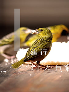 建行信用卡2万逾期费(建设银行信用卡逾期一天有逾期费用吗)