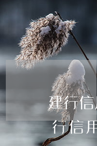 建行信用卡2次還款逾期(建設(shè)銀行信用卡逾期2天會(huì)有不良記錄嗎)