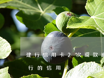 建行信用卡2次還款逾期(建設(shè)銀行的信用卡逾期一天會(huì)有不良記錄)