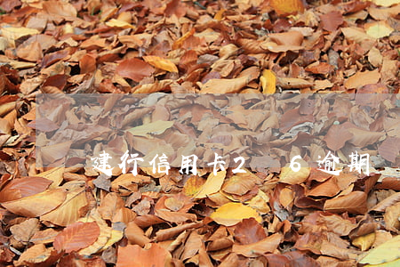 建行信用卡2萬6逾期