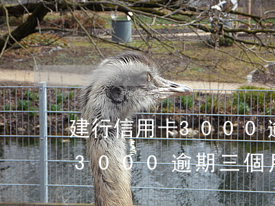 建行信用卡3000逾期三個月(建行信用卡3000逾期三個月會怎樣)