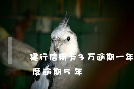 建行信用卡3万逾期一年(建行信用卡4万额度逾期5年)