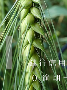 建行信用卡5000逾期(建行信用卡5000逾期一個(gè)月,利息多少)