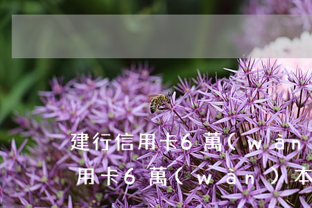 建行信用卡6萬(wàn)本金逾期(建行信用卡6萬(wàn)本金逾期)