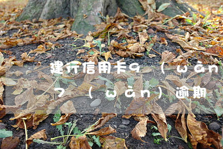建行信用卡9萬(wàn)逾期(建行信用卡7萬(wàn)逾期)