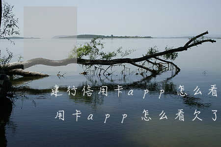 建行信用卡app怎么看欠了多少-建行信用卡app怎么看欠了多少錢