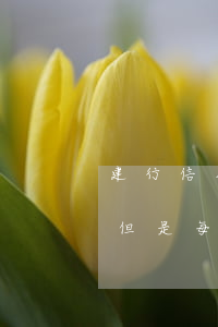 建行信用卡一万八千块钱逾期-建行卡逾期,但是每月坚持还2000左右