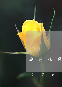 建行信用卡一万逾期一天多少钱(信用卡10000块逾期一天多少钱)