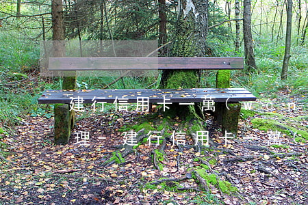 建行信用卡一萬(wàn)逾期一年怎么處理-建行信用卡一萬(wàn)逾期一年怎么處理的