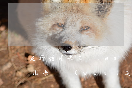 建行信用卡三萬(wàn)逾期2天(建行信用卡兩萬(wàn)逾期一年多了,會(huì)怎么樣?)