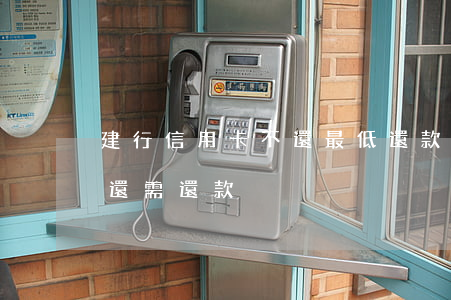 建行信用卡不還最低還款額(建行最低還款和還需還款)