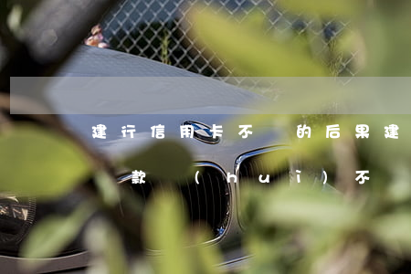 建行信用卡不還的后果(建行信用卡推遲三天還款會(huì)不會(huì)影響信用)