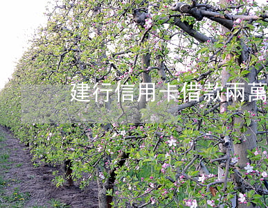 建行信用卡借款兩萬(wàn)逾期后后果