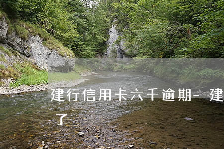 建行信用卡六千逾期-建行信用卡六千逾期了