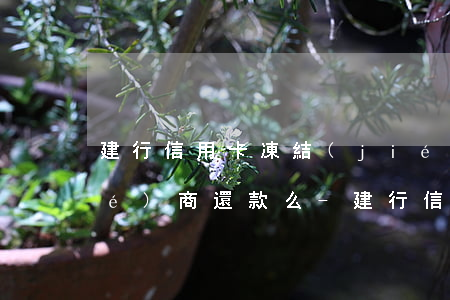 建行信用卡凍結(jié)后可以協(xié)商還款么-建行信用卡凍結(jié)后可以協(xié)商還款么嗎