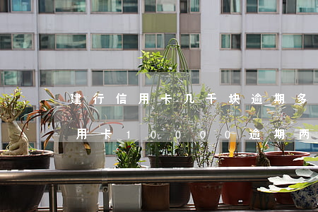 建行信用卡几千块逾期多久会被起诉(建行信用卡10000逾期两年)